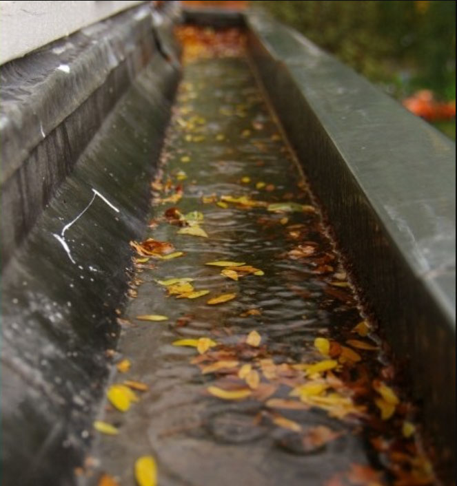 Gutters, Downpipes and Fascias