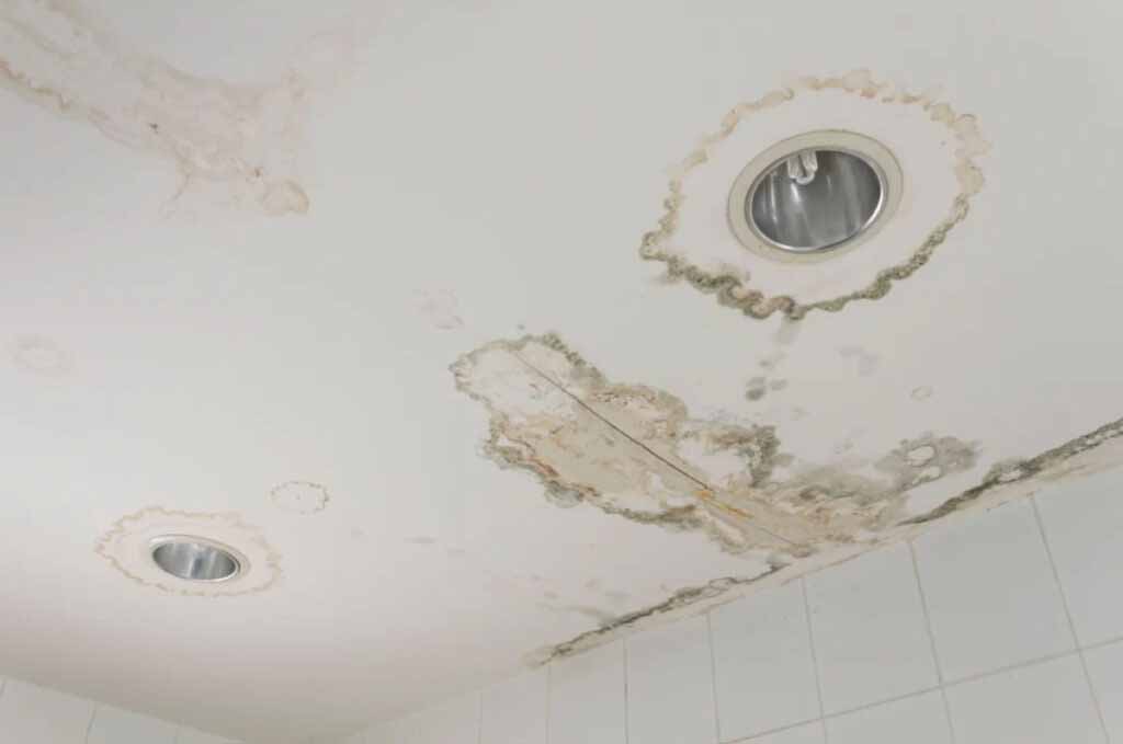 Ceiling water damage caused by a roof leak, showing staining and mould around recessed ceiling lights in a Christchurch home