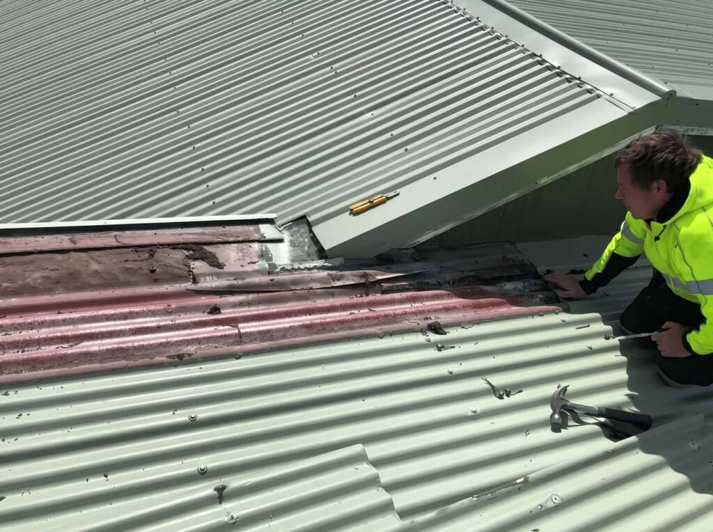 Roofer working on light green corrugated metal roof sections on a Christchurch property