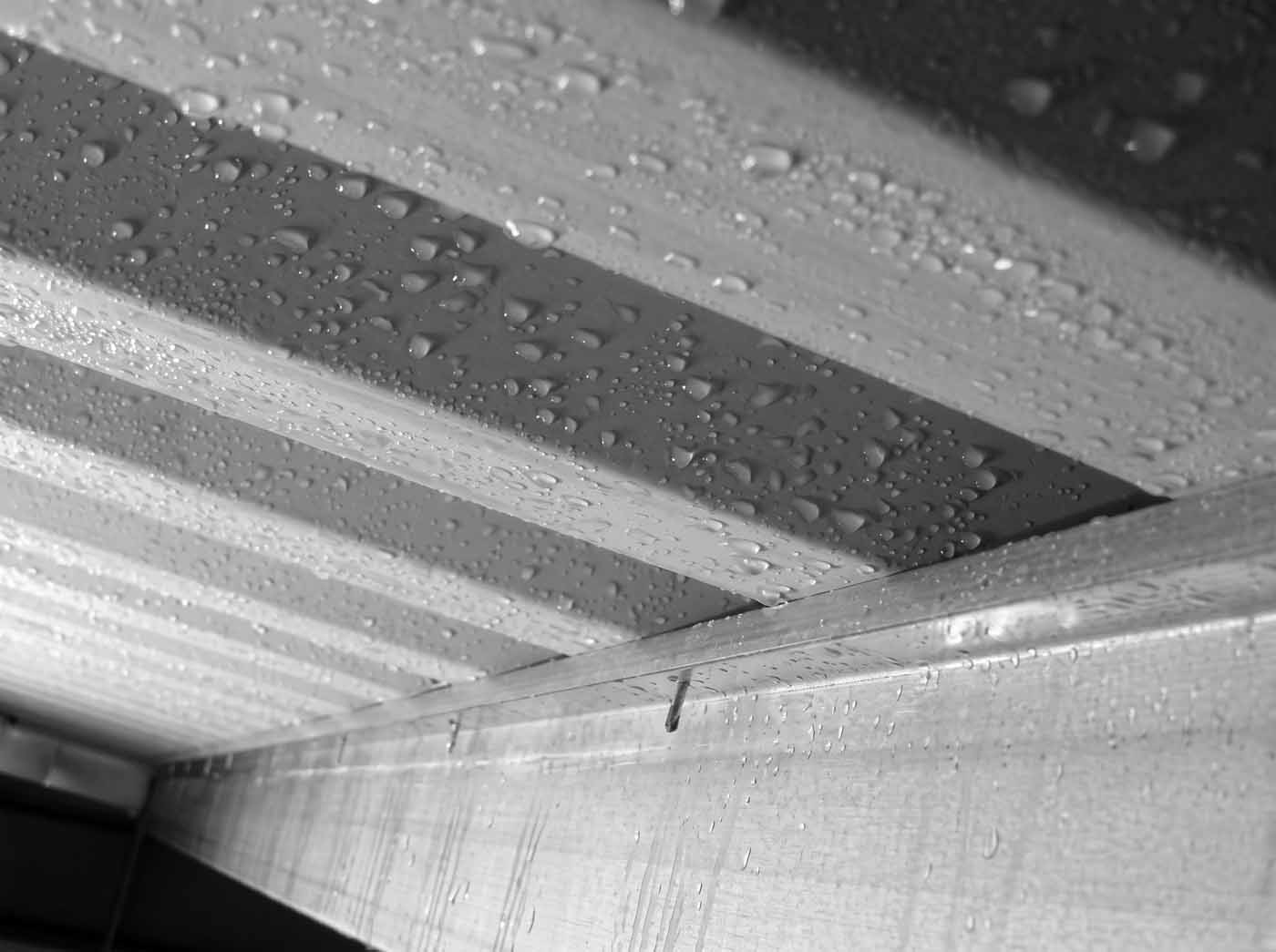 Condensation droplets forming on the underside of a metal roof, showing moisture build-up that can affect Christchurch roof cavities